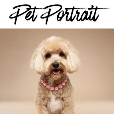 Themed Pet Portrait