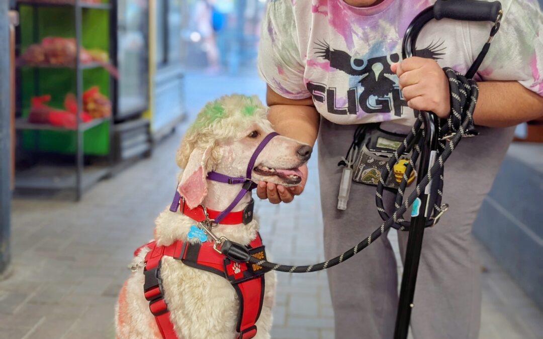 At Your Service: The Importance of Service Dog Etiquette