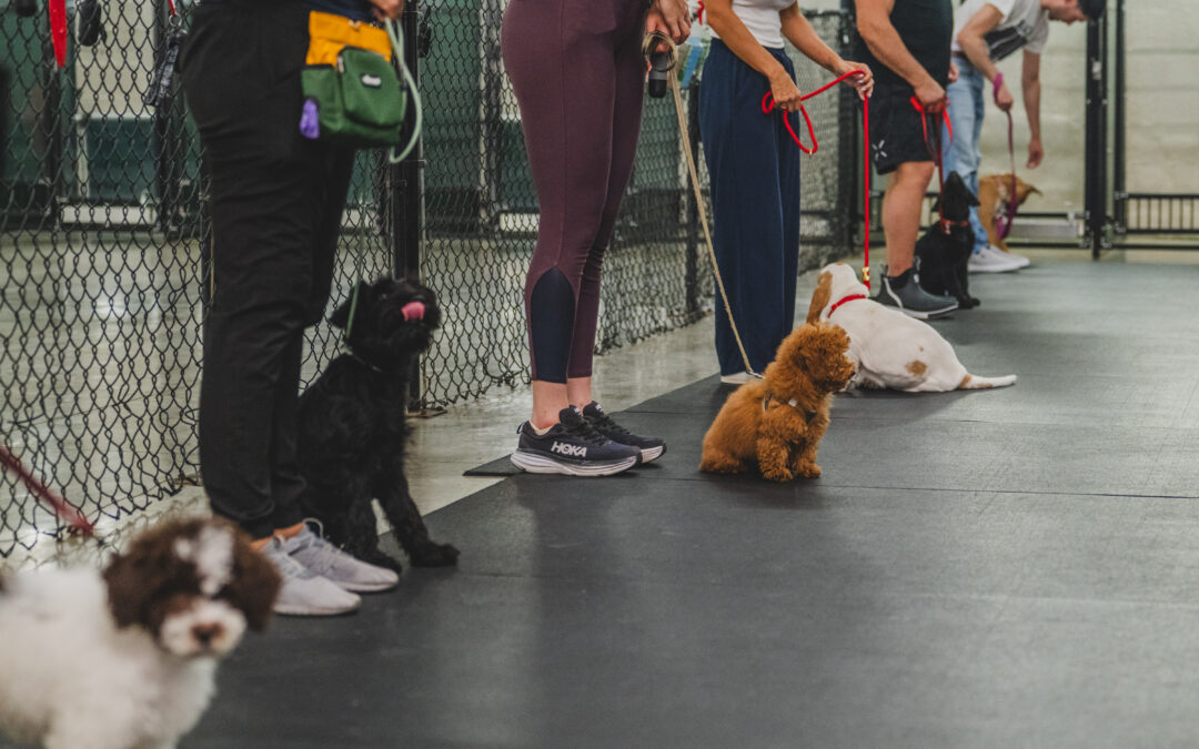 Why are group classes beneficial?