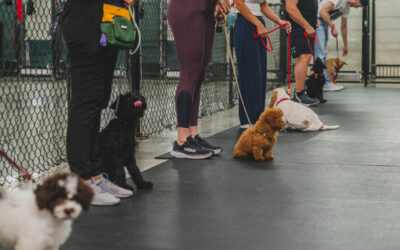Why are group classes beneficial?