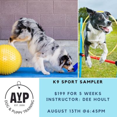 K9 Sports Sampler Workshop
