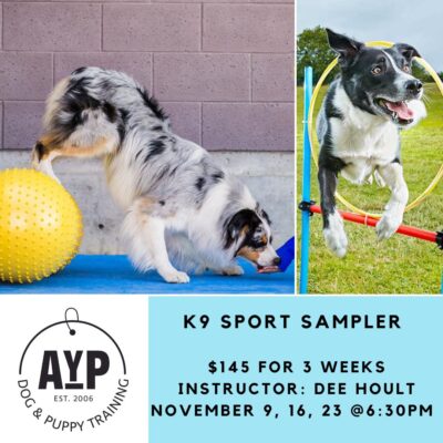 K9 Sports Sampler Workshop