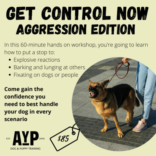 Get Control Now- Aggression Edition Waitlist