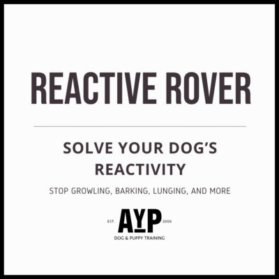 Reactive Rover Workshop