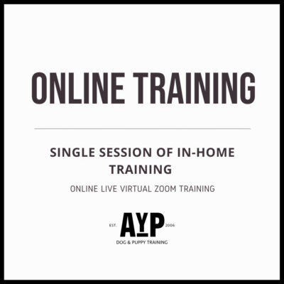 Online LIVE Dog Training