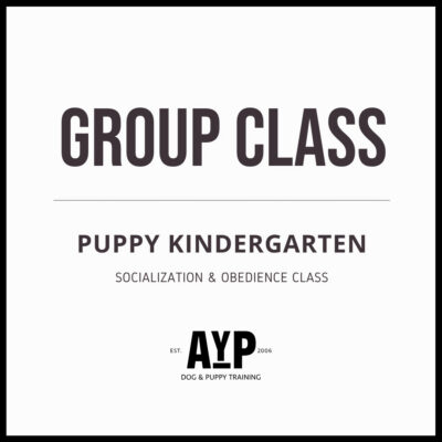 Puppy Kindergarten Group Class