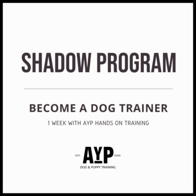 Shadow Dog Trainer Program