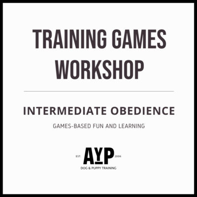 Training Games Workshop