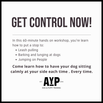 Get Control Now Workshop