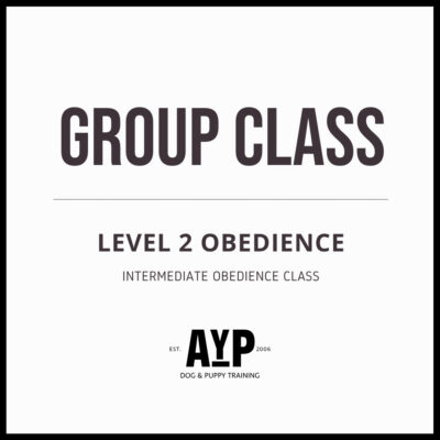 Level 2 Obedience Group Class