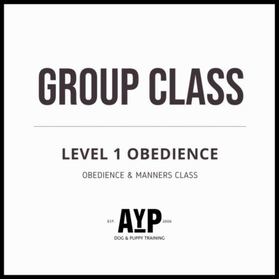 Level 1 Obedience Group Class