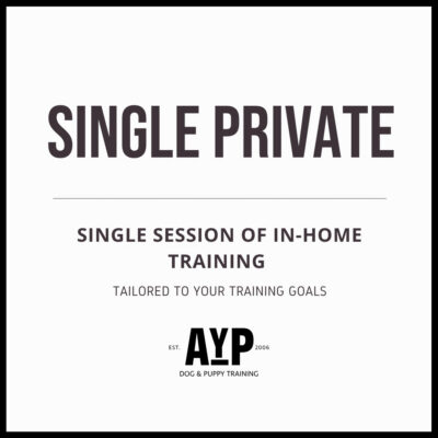 Single Private Lesson
