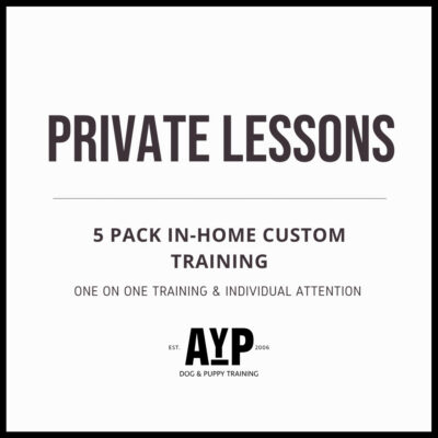 5 Private Lessons