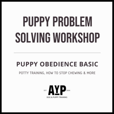 Puppy Problem Solving Workshop