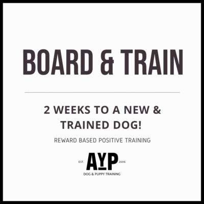 2 Week Board and Train